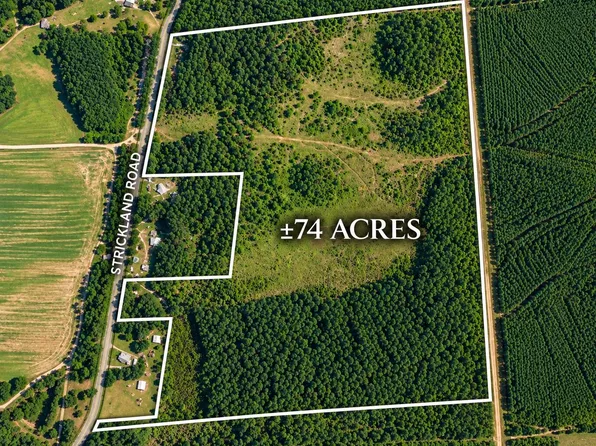 0 Strickland Rd, Lake Park, GA 31636