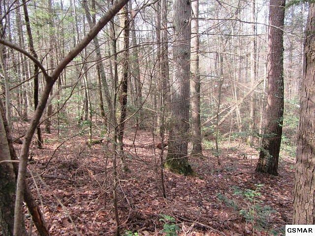 1st image of 0 Cub Cir Lot 22