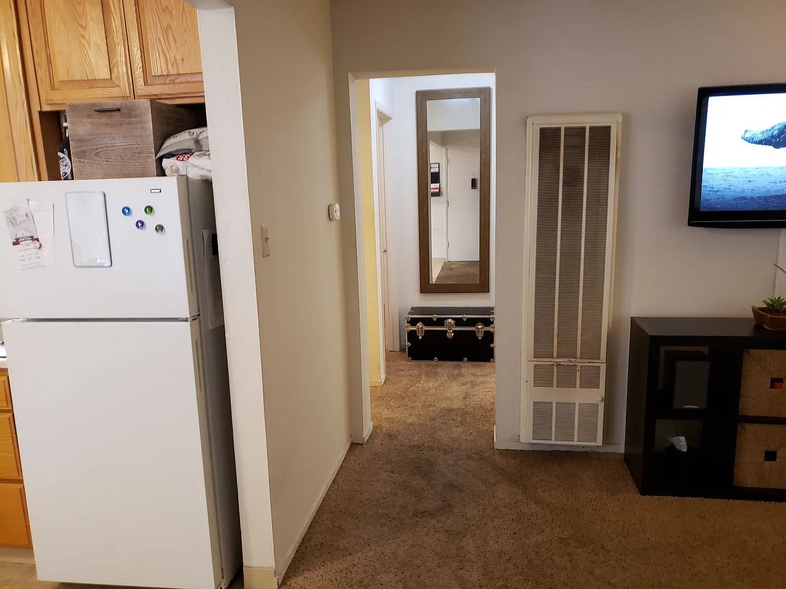 2 bed, 750 sqft, $1,795 — Photo 3
