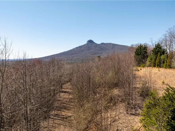 222 Hummingbird Ln, Pilot Mountain, NC 27041