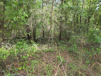 0000 NE 85TH STREET, Bronson, FL, 32621
