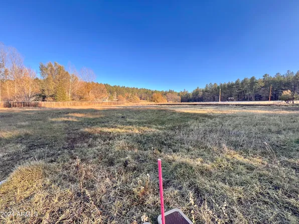 2445 S JAN Lane #61, Pinetop, AZ 85935
