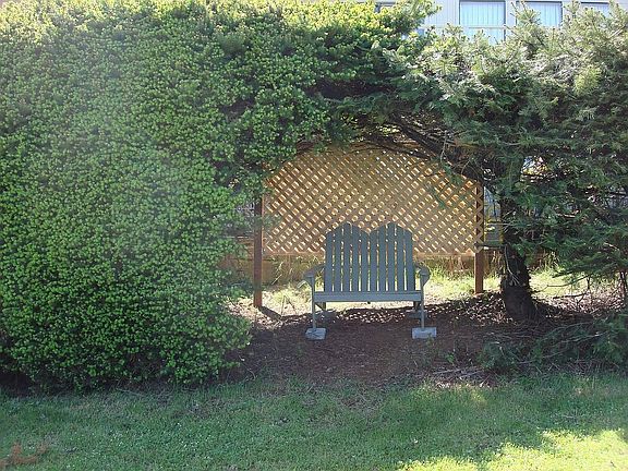 Bench in Shaded Area