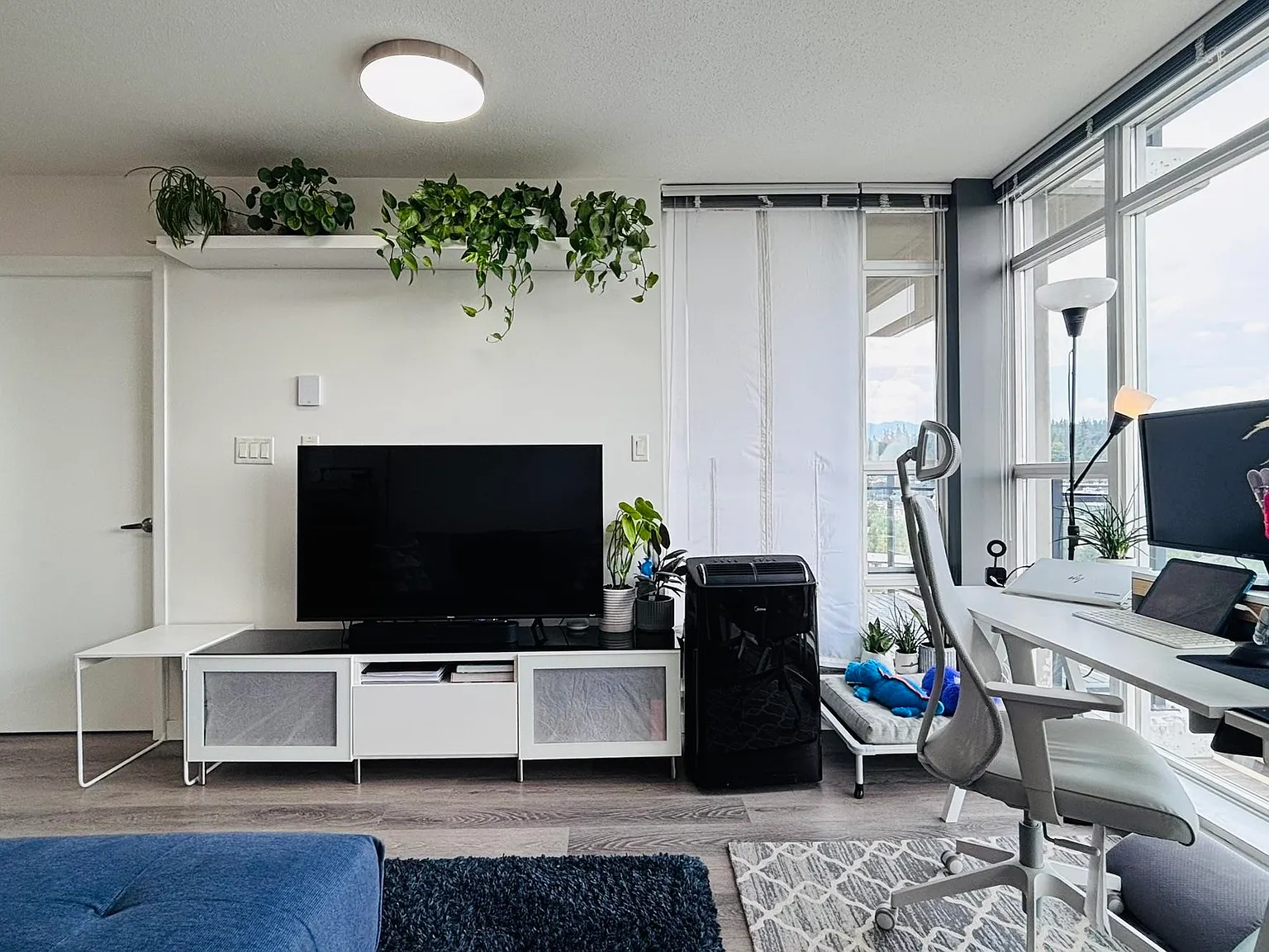 1 bed, 639 sqft, $1,900 — Photo 3