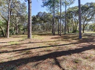 390 Foothill Farms Rd, Orange City, FL 32763