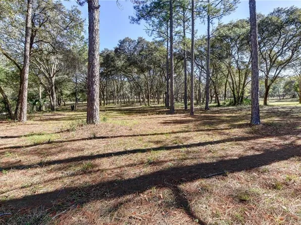 390 Foothill Farms Rd, Orange City, FL 32763