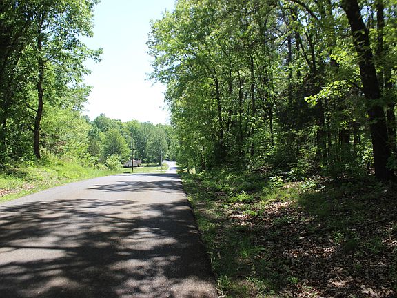 4th image of 0 Emanuel Tract B Ln #0