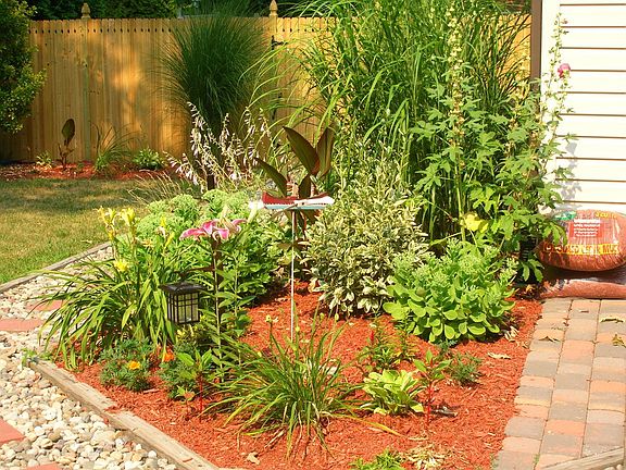 front driveway garden