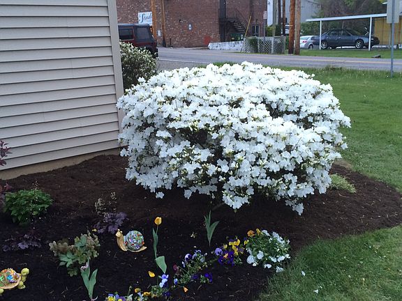 landscaping