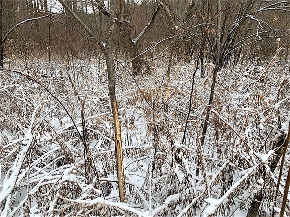 5th image of 0 County Rd G
