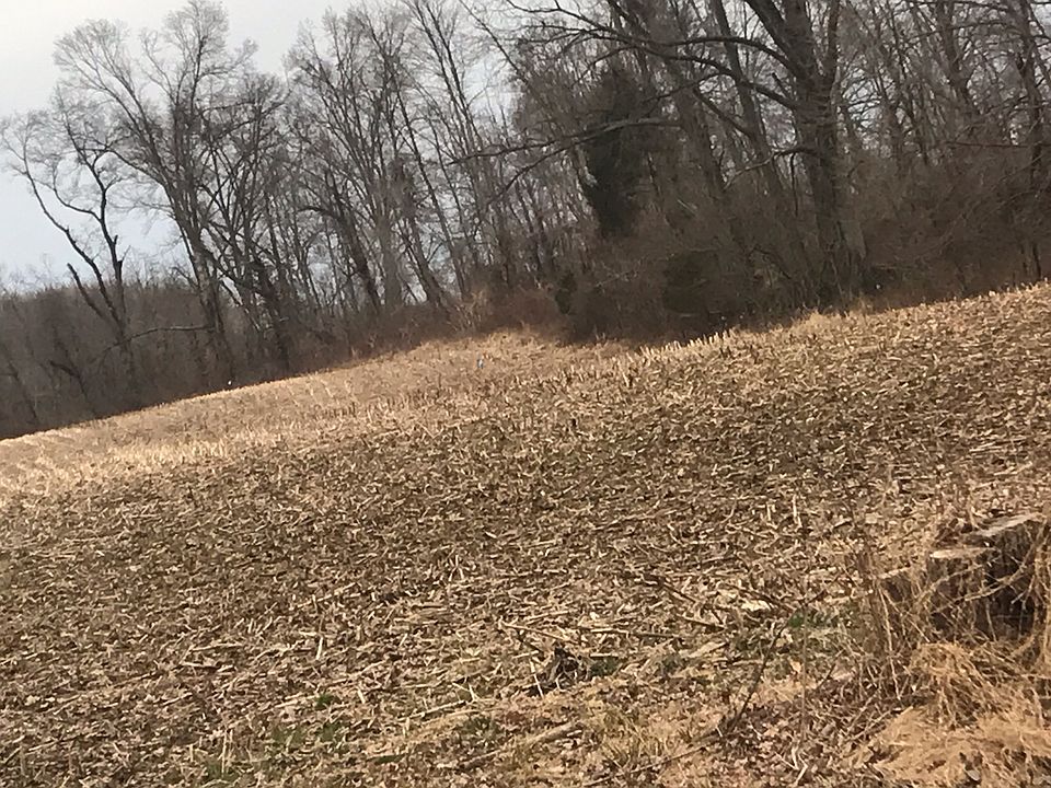 2nd image of State Route 232