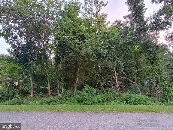 3rd image of LOT 51 American Dr