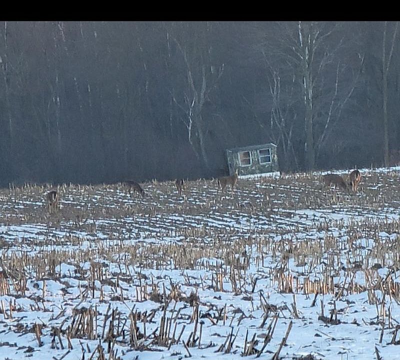 2nd image of 6450 Denhoff Rd