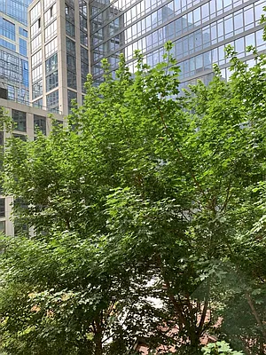 Rented by Windsor Property Management | media 28