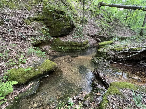 0 Morgan Branch Rd Lot 3, Centerville, TN 37033