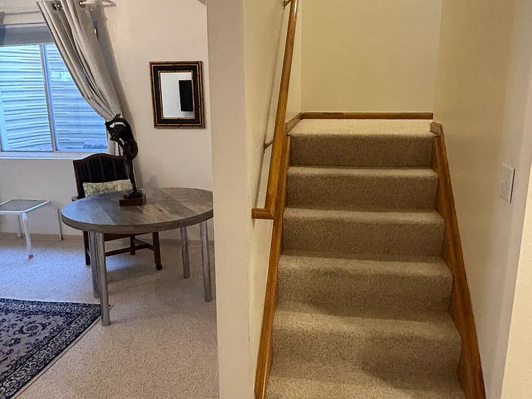 Weeping Willow Ct — Photo 9