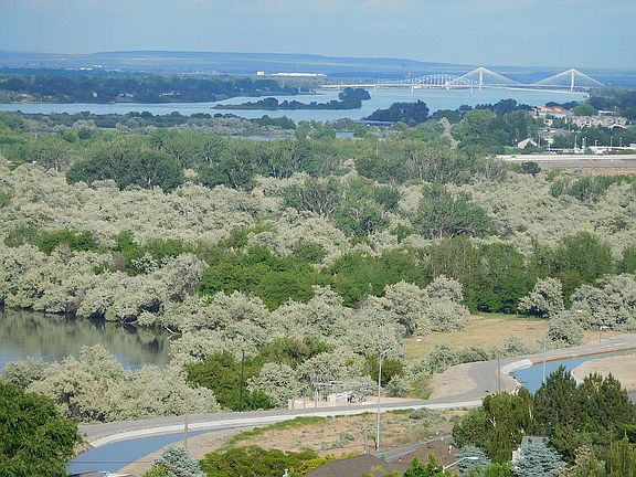 View from deck - Summer