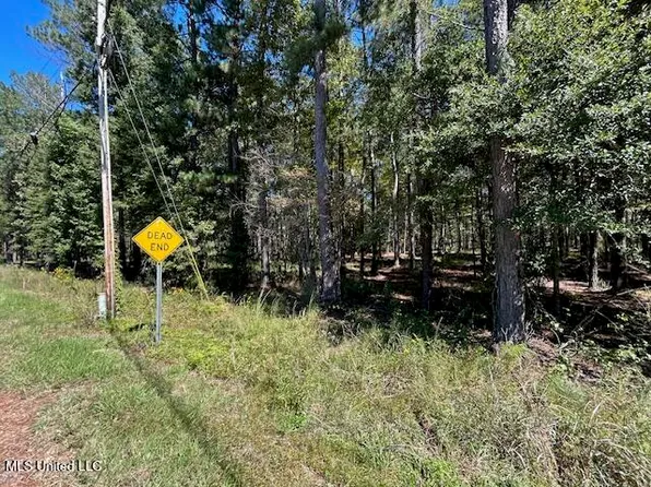 Country Lake Dr, Summit, MS 39666