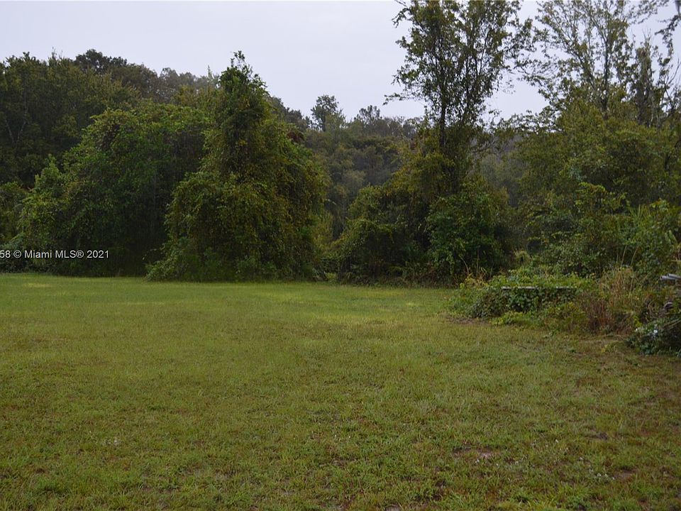 2nd image of Tangerine Ln