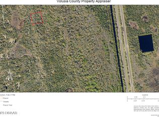 0 Street Cpe, Oak Hill, FL 32759