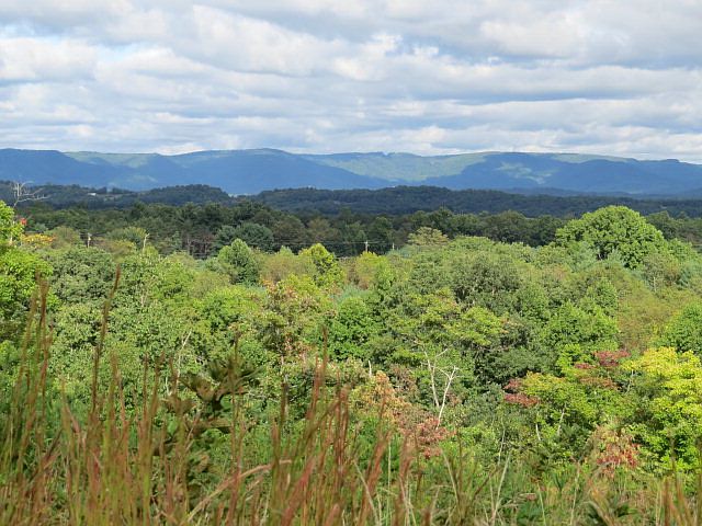 1st image of 44 Old Pipers Gap Road