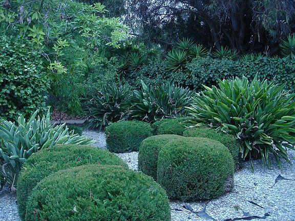 Beautiful Abundant Landscaping