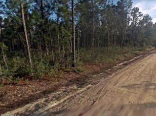 10540 Delgado Ave, Hastings, FL 32145