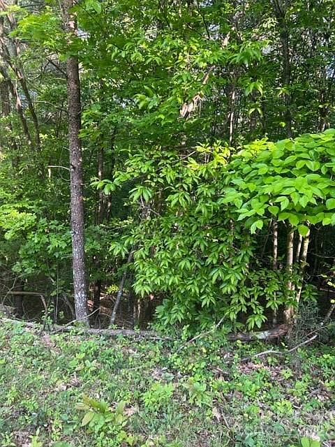 2nd image of 300 Birchwood Dr