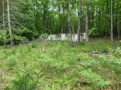 5072 E Holmes Rd, Harrisville, MI, 48740