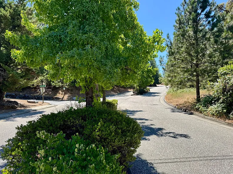 245 Incline Dr — Photo 40