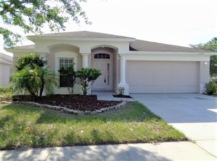 12401 Hawkeye Point Pl, Riverview, FL 33578