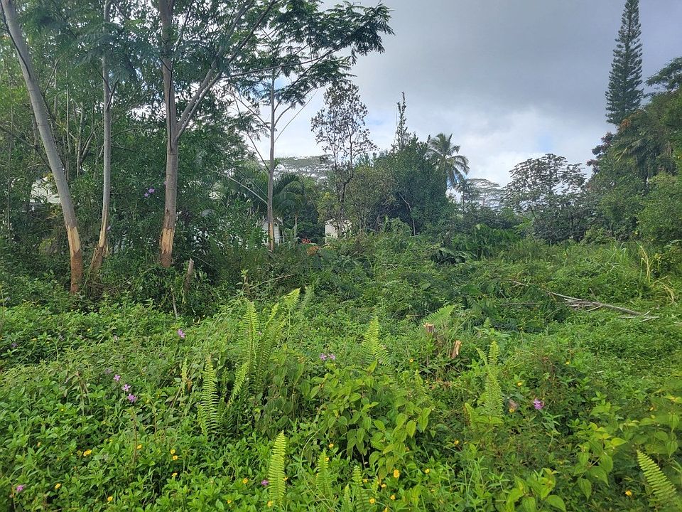 2nd image of Puni Mauka Loop S Lot 187