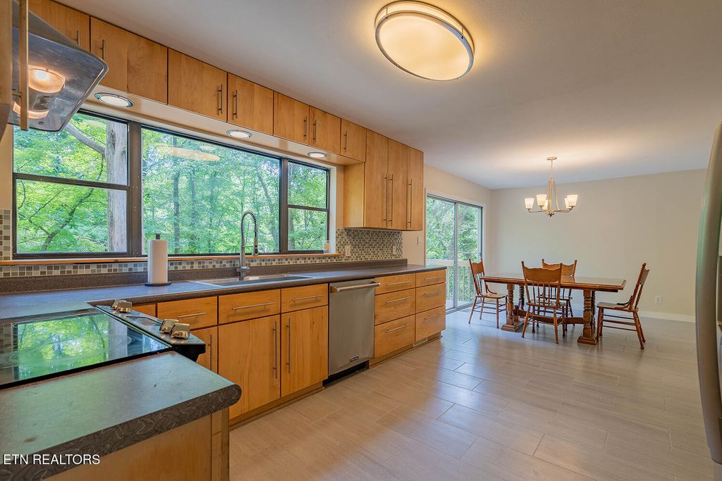 909 W Outer Dr, Oak Ridge, TN - View 6