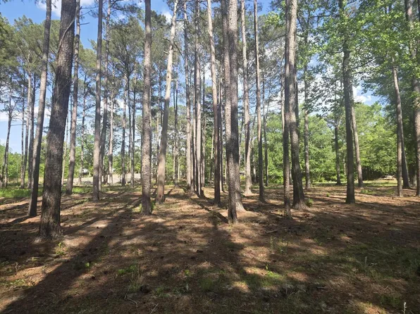 46 Juniper Ln, Currie, NC 28435