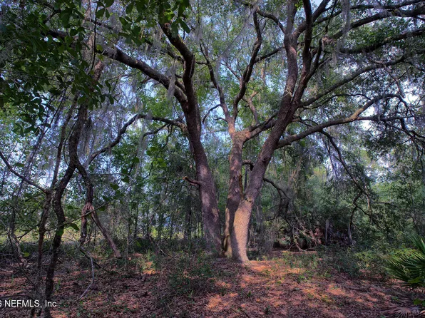 000 COUSINTOWN Road, Interlachen, FL 32148