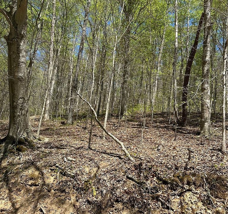 1st image of 2 Sugar Tree Rd