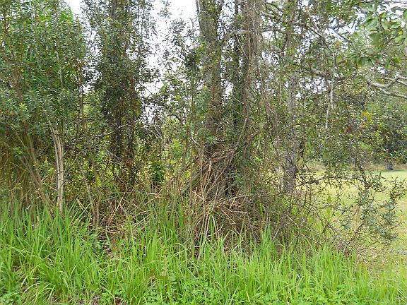 ONE OF 6 LOTS INCLUDES