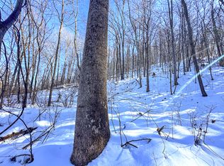 786 Wilson Run Rd, Pine Grove, WV 26419