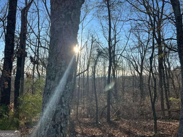 1171 Hunter Dr, Ranger, GA 30734