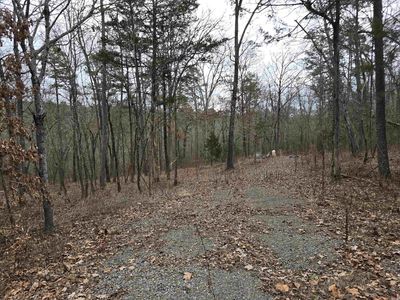 181 Cedar Wood Ln, Clinton, AR, 72031