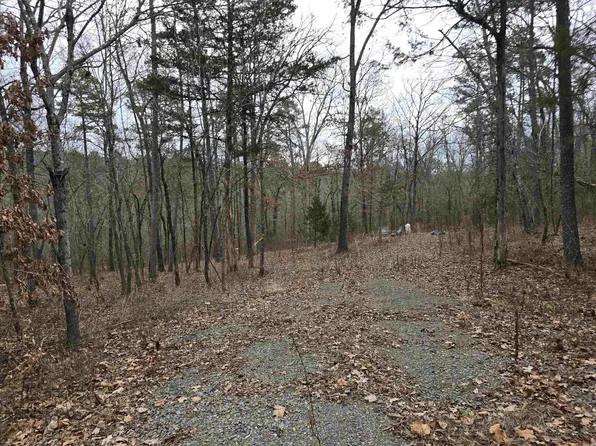 181 Cedar Wood Ln, Clinton, AR 72031