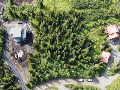 L13a B4h Viola Cir, Anchorage, AK, 99516