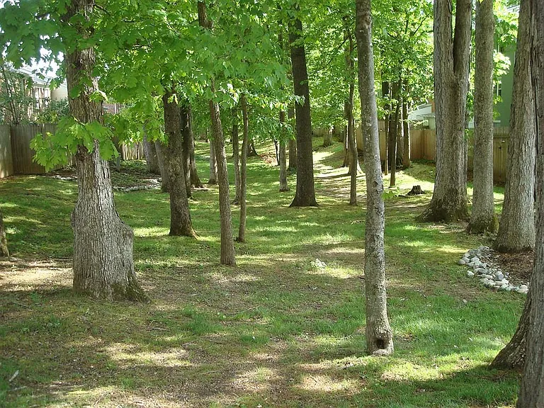 Common area