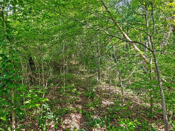 4th image of 4300 Pocket Rd