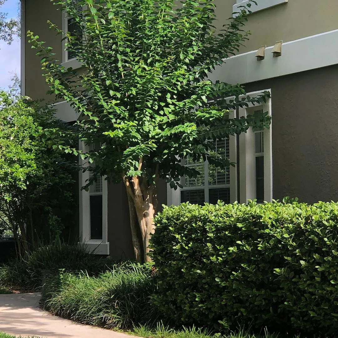 Beautiful end unit townhouse with 3 bdrms, 2-1/2 baths and 2 car garage! — Photo 1