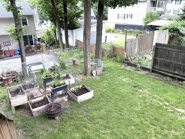 421 Laurel St #2 — Photo 10