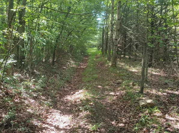 Tbd Nursery Rd, Laurel Fork, VA 24352