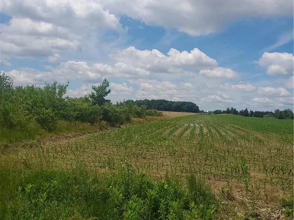 1870 N Opfer Lentz Rd, Martin, OH 43445