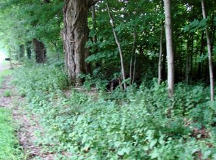 4406 Winchell Rd, Mantua, OH 44255