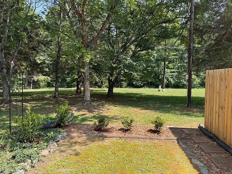 Back courtyard open space